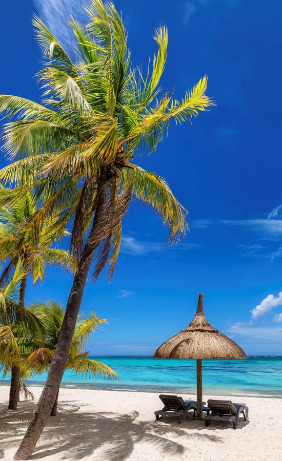 Why Choose Mauritius
